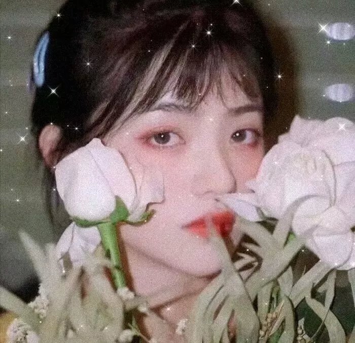蛇蝎美人心
